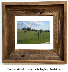 horse trail rides near me in Laplace, Louisiana